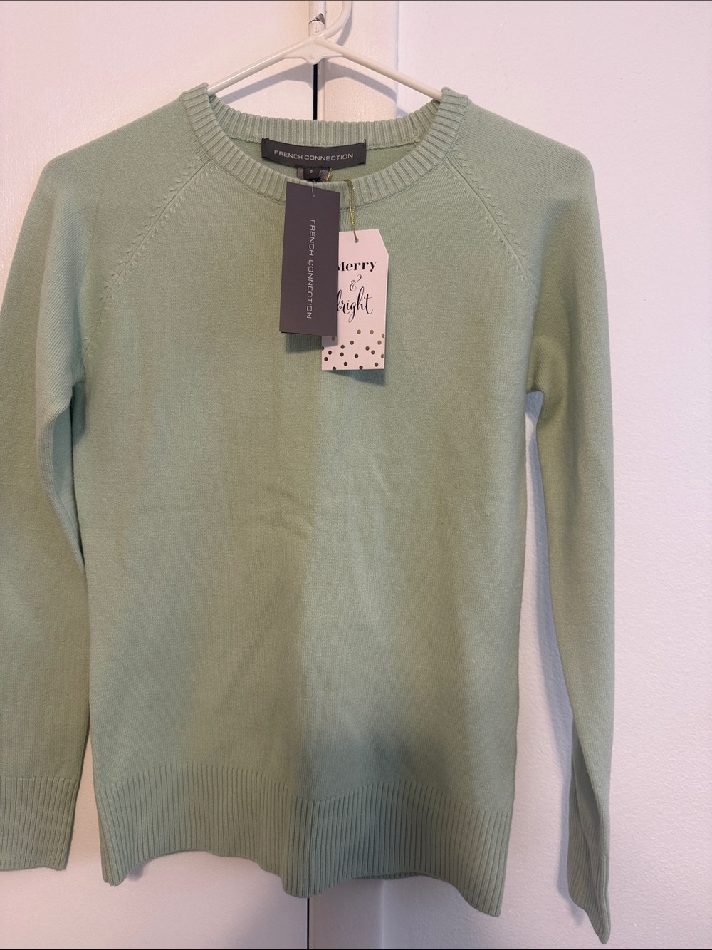 NWT French Connection Soft Mint Crew Sweater